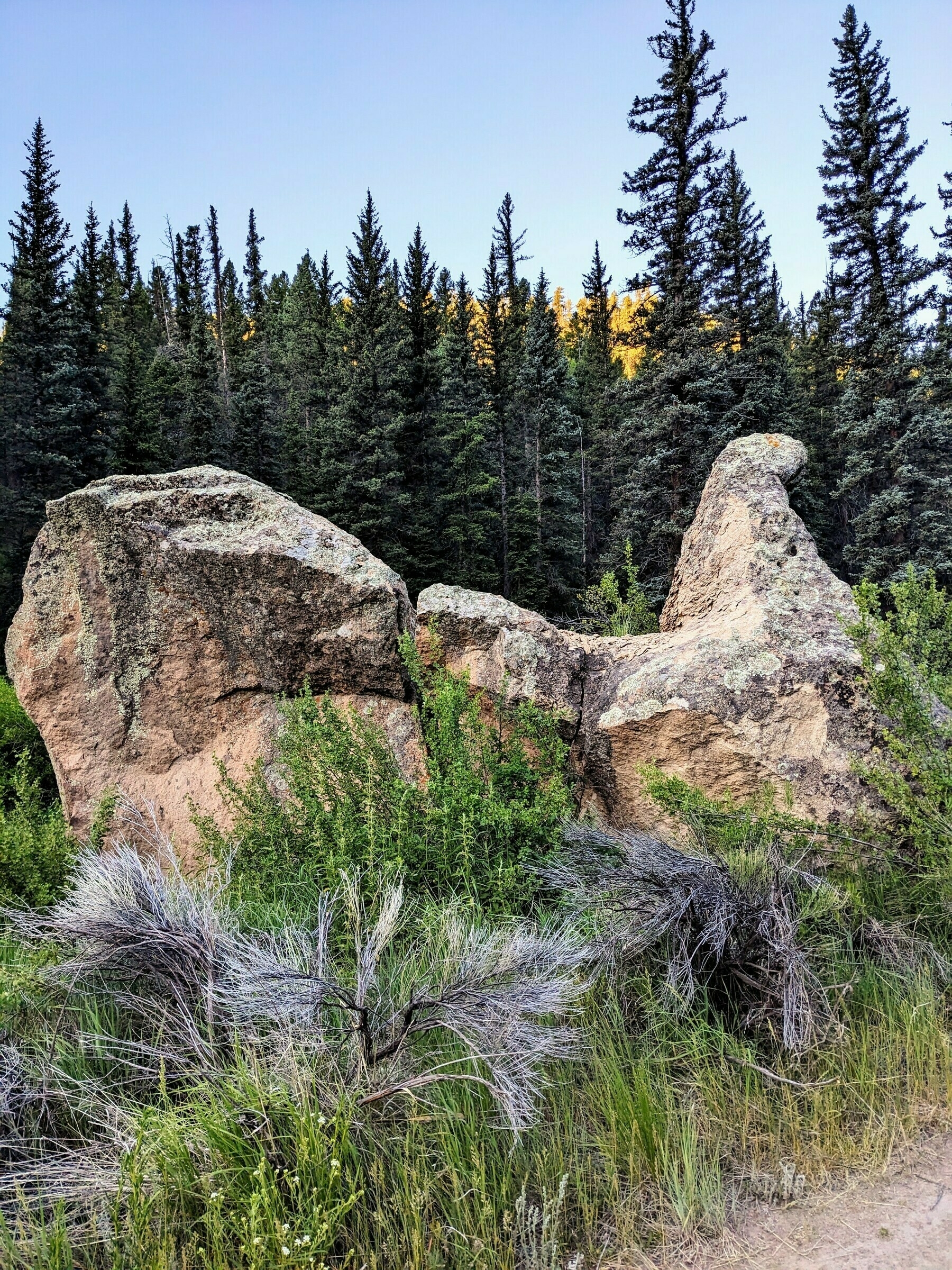 Rocks that look like sculptures by Henry Moore