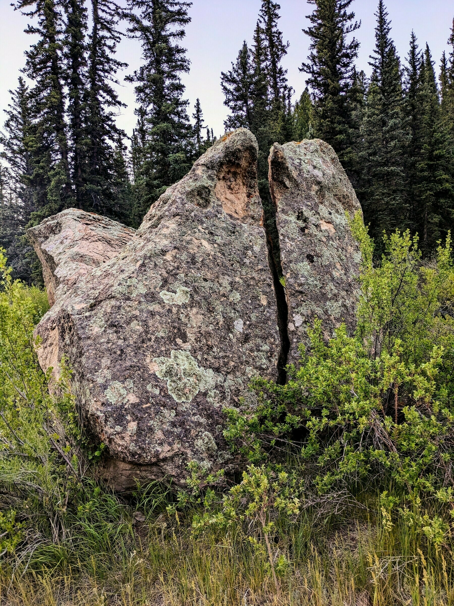 Rocks that look like sculptures by Henry Moore