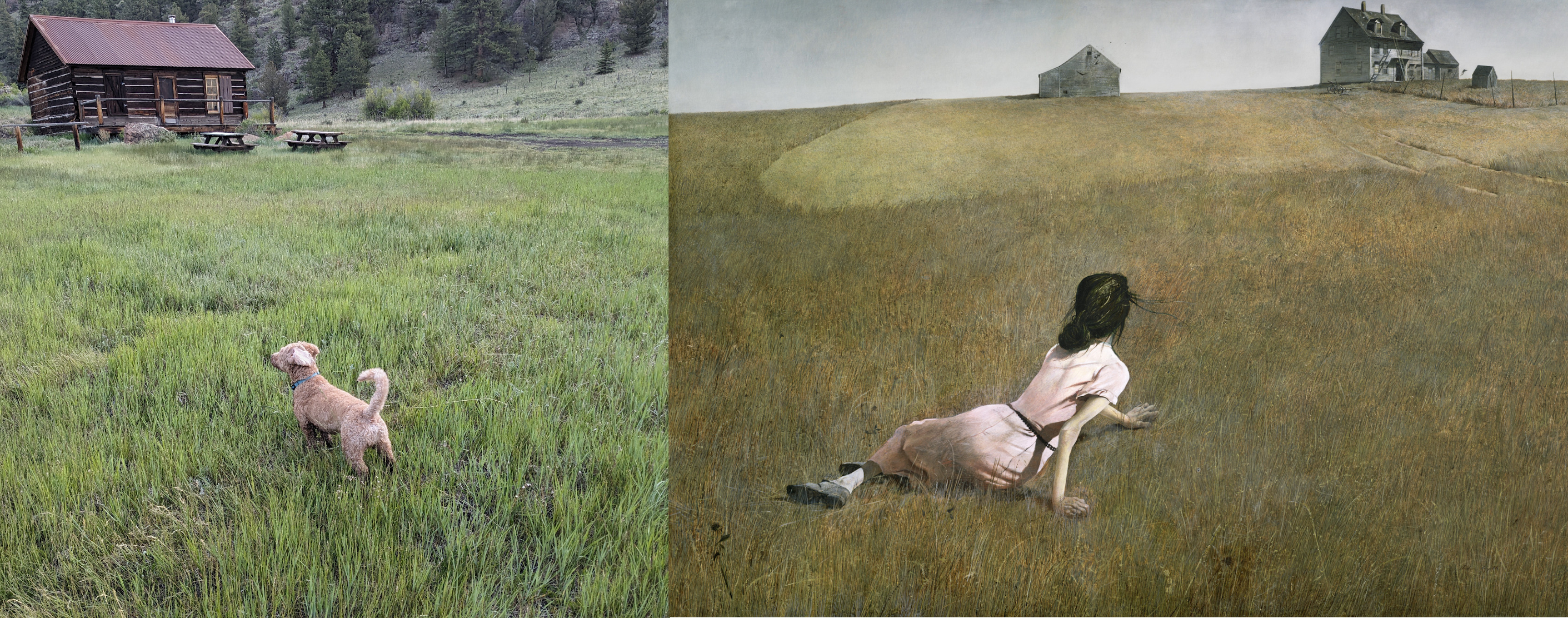 an image of a dog in a field compared to to an Andrew Wyeth painting