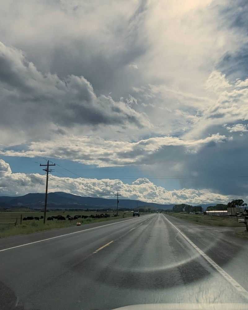 Rural  highway looking into the sun with billowy clouds and mountains in the distance. Photo taken in Colorado's San Luis Valley.