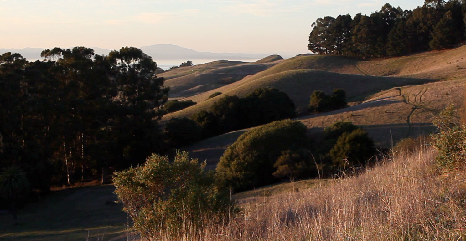 Golden California Hills in summer with dramatic shadows