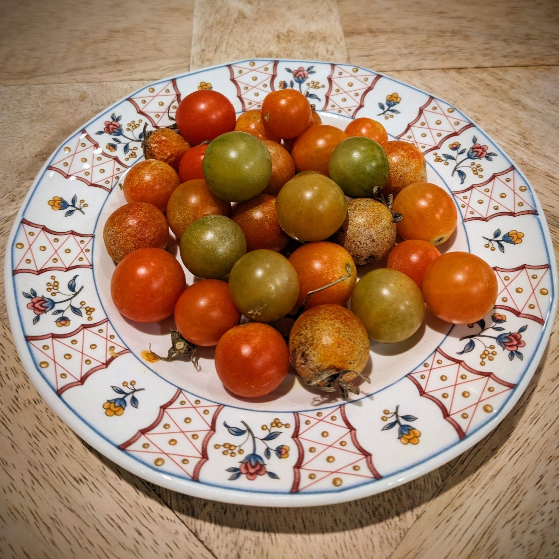 late season cherry tomatoes, red and green-going-to-red