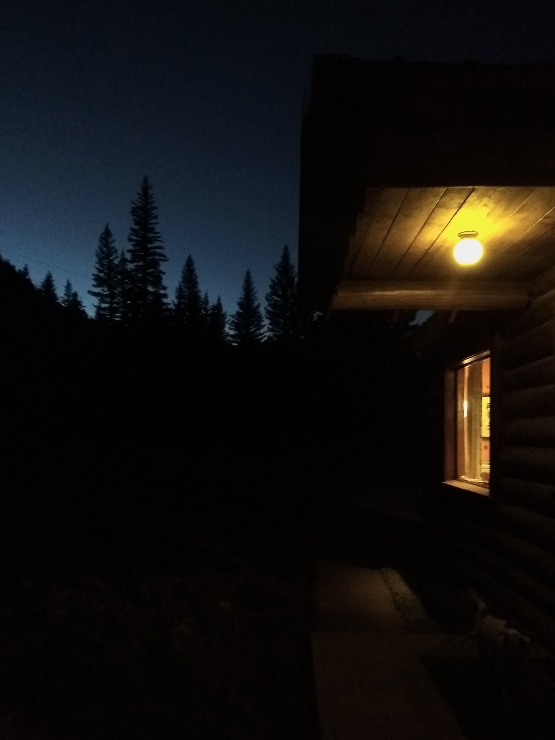 Porch light at dusk with pine trees in background silhouette