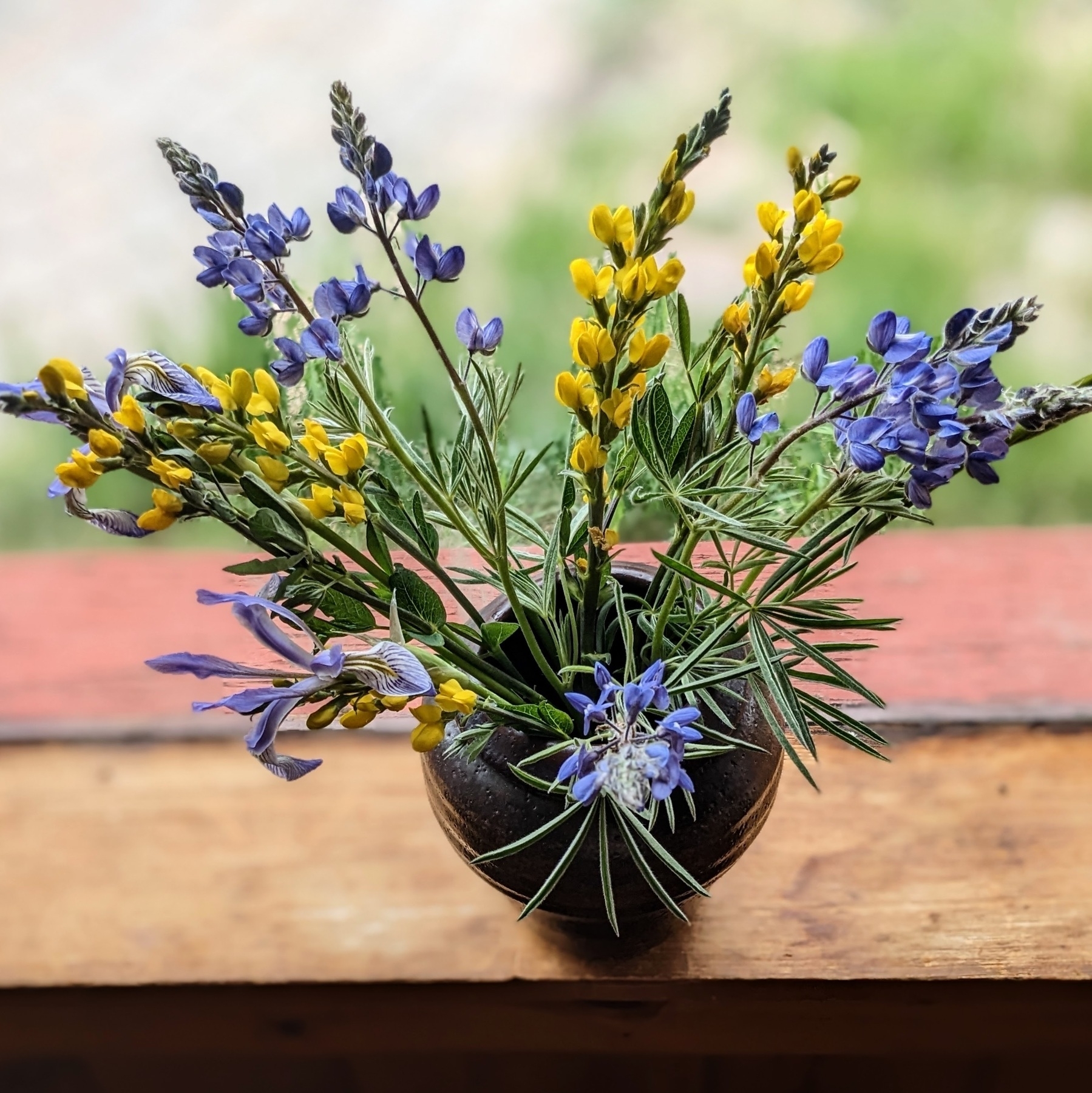 brown hand-thrown pottery vase placed on a window sill and filled with wildflowers: yellow flowers, blue lupine, and one blue wild iris
