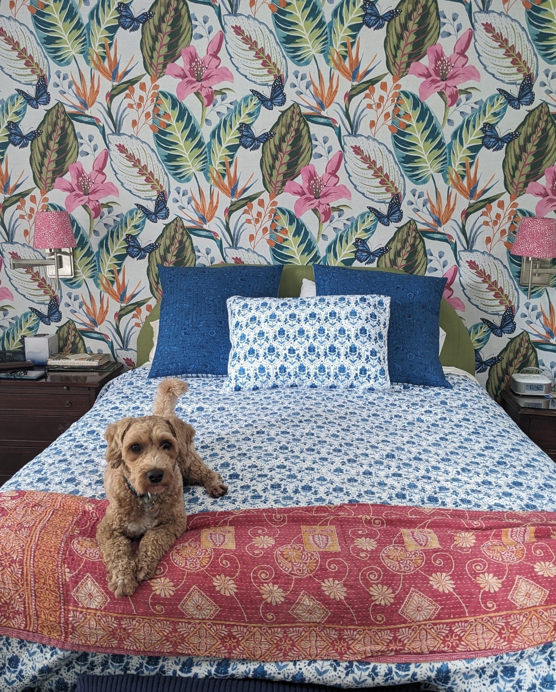 bedroom with giant green leaves and pink flowers on the wall, a blue flowered bedspread, an orange small blanket, blue pillows, and mini goldendoodle dog sitting on the bed