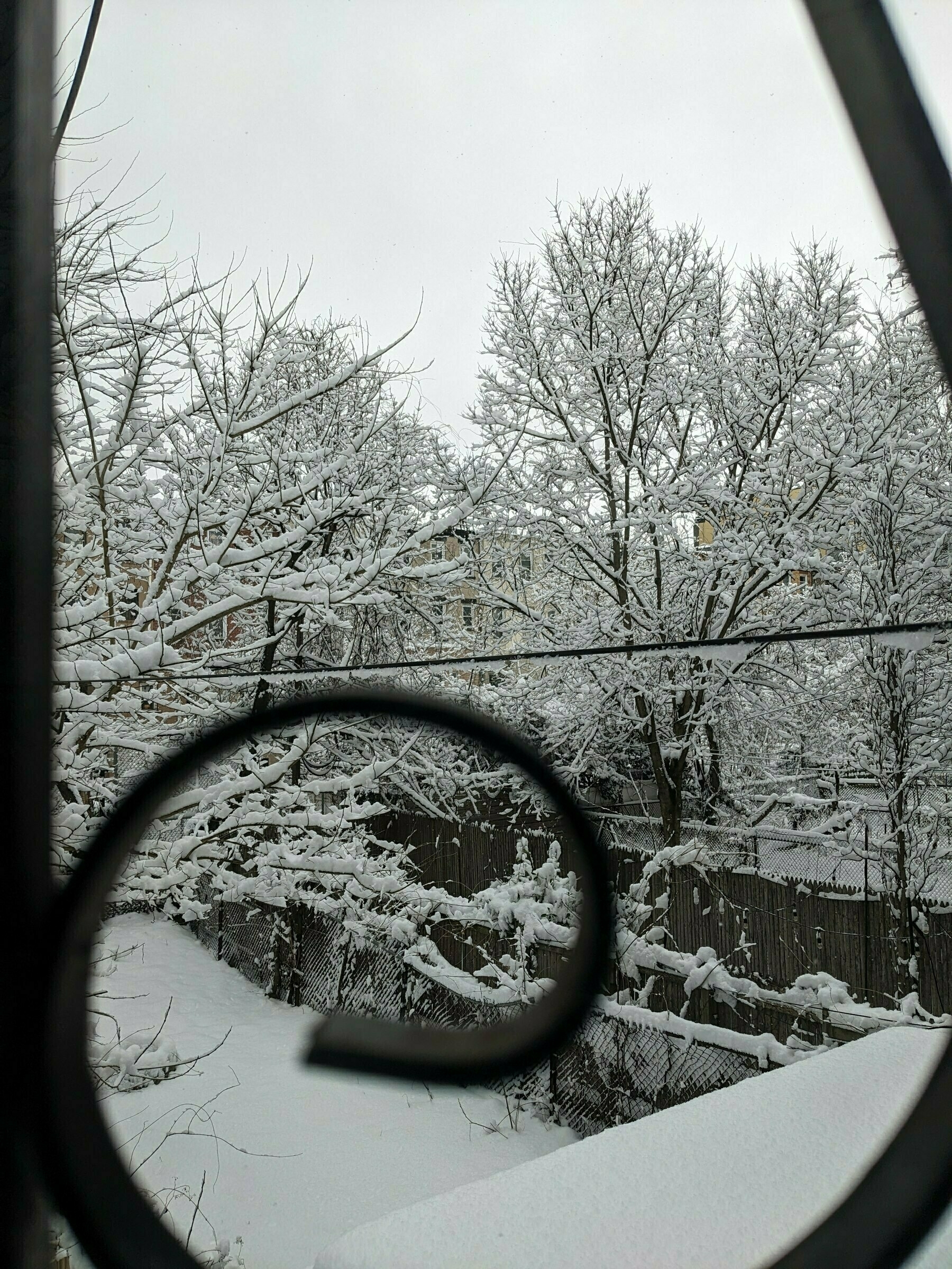 Snow-covered tree branches seen through a window with a grate